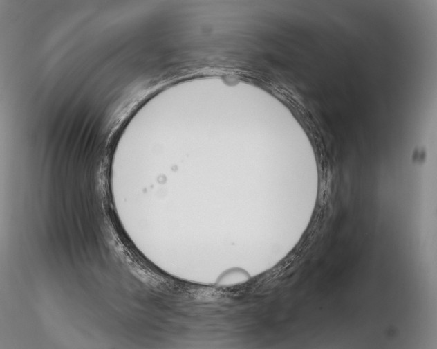 X0000114990098200912071126