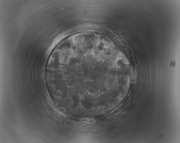 X0000114990099200912071126