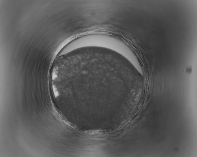 X0000114990100200912071126