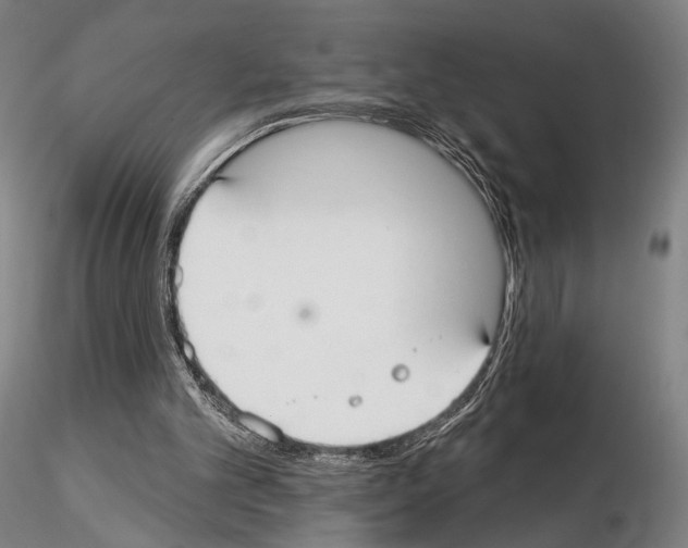 X0000114990101200912071126