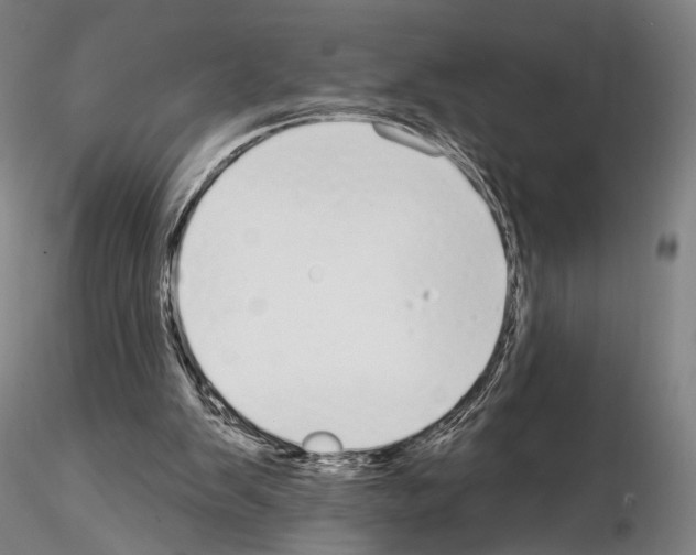 X0000114990103200912071126