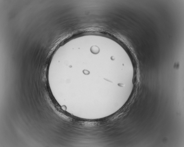 X0000114990105200912071126