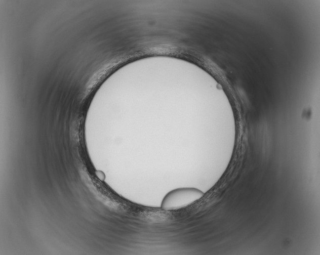 X0000114990106200912071126