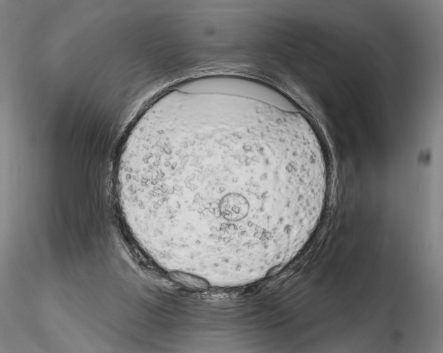 X0000114990107200912071126