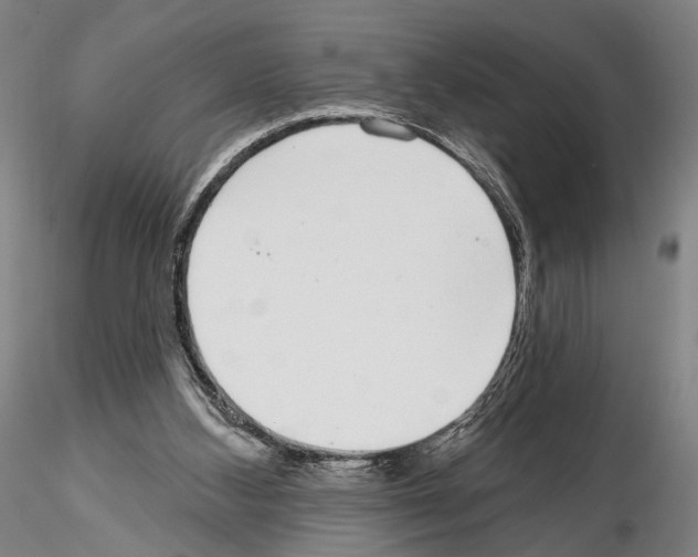 X0000114990108200912071126