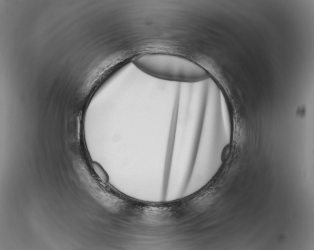 X0000114990109200912071126