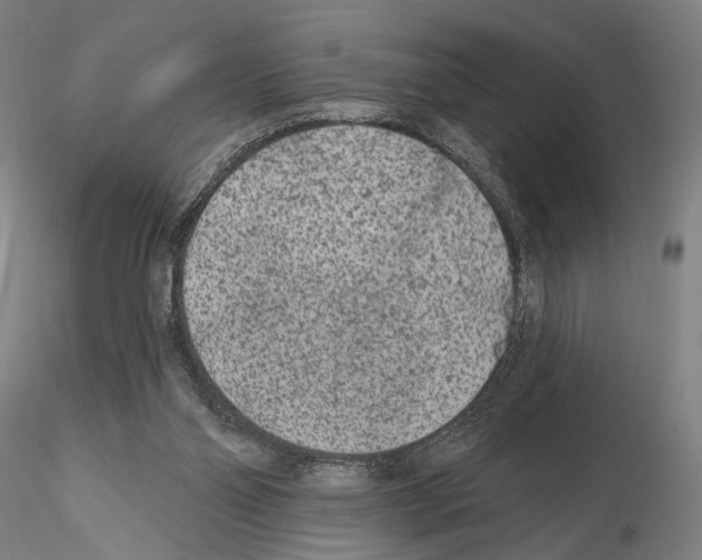 X0000114990110200912071126