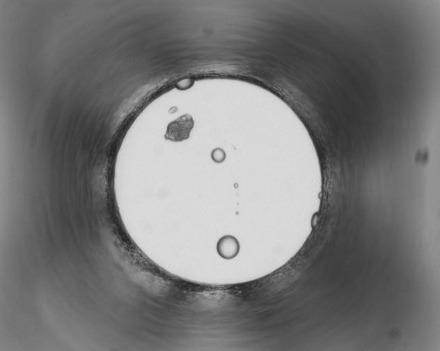 X0000114990112200912071125