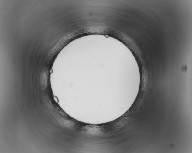 X0000114990113200912071125