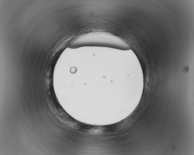 X0000114990116200912071125