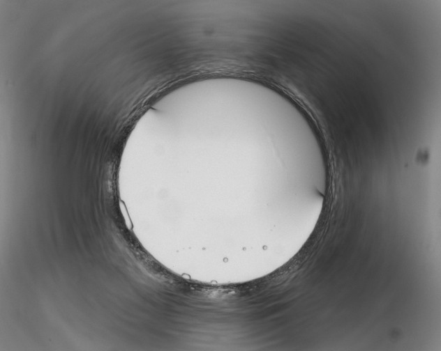 X0000114990117200912071125