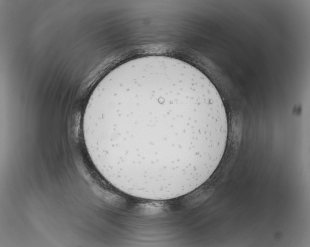 X0000114990118200912071125