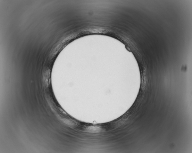 X0000114990119200912071125