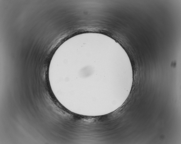 X0000114990120200912071125