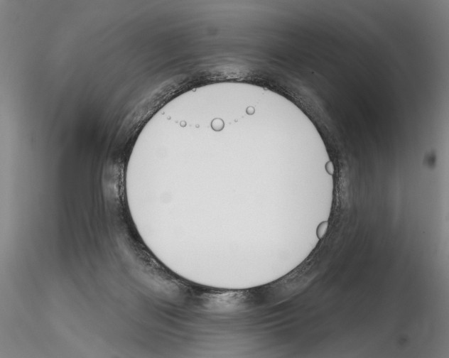 X0000114990122200912071125