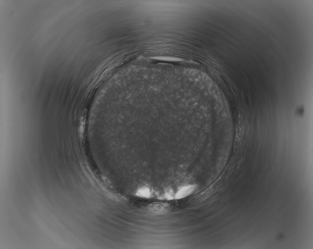 X0000114990124200912071125