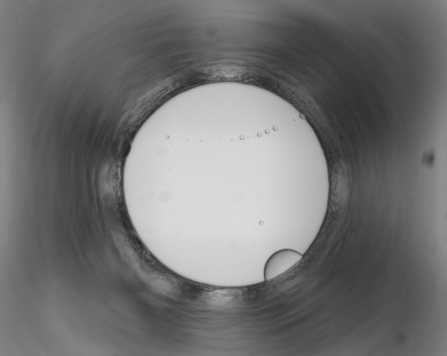 X0000114990126200912071125