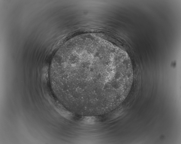 X0000114990127200912071125