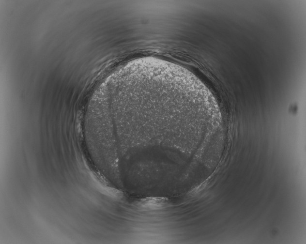 X0000114990128200912071125