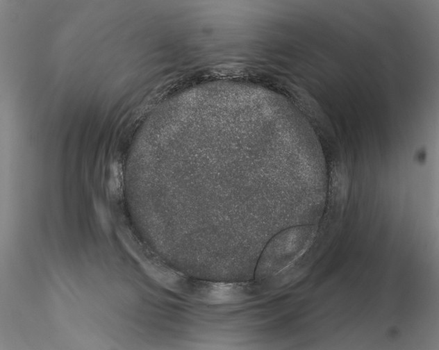 X0000114990130200912071125