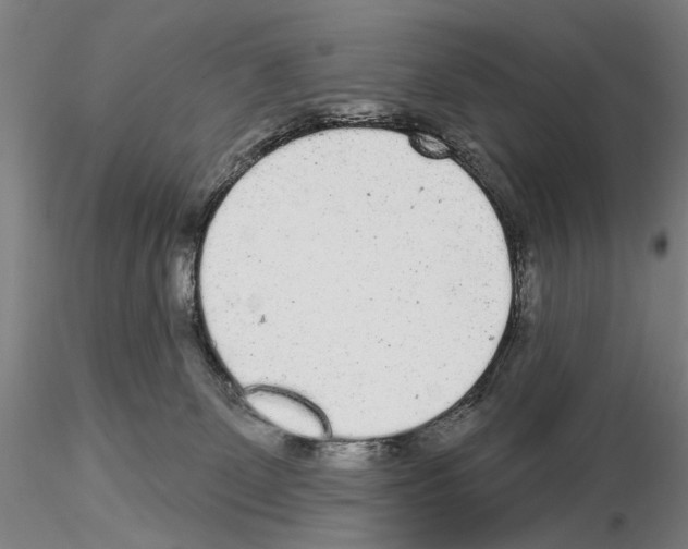 X0000114990131200912071125