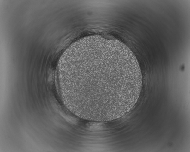 X0000114990132200912071125