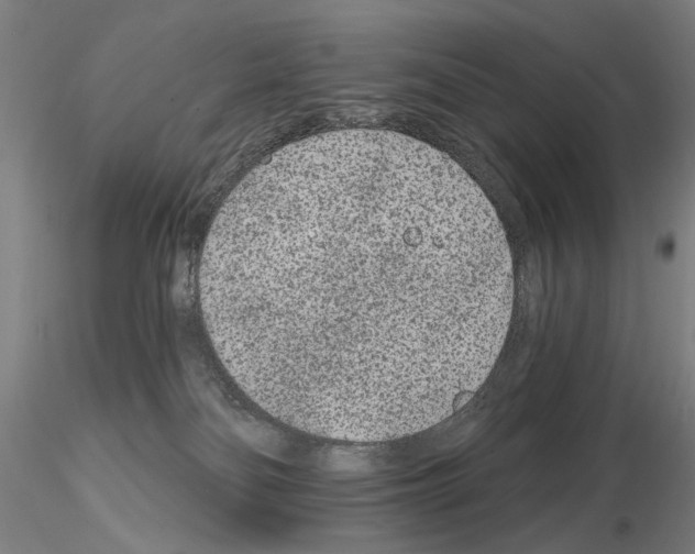 X0000114990134200912071125