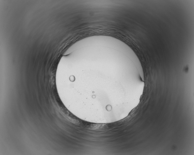 X0000114990136200912071125