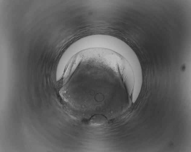 X0000114990139200912071125