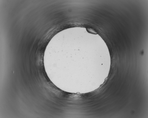 X0000114990140200912071125