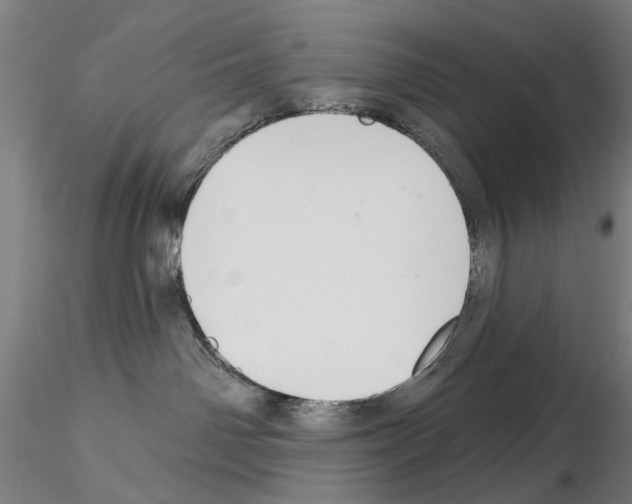 X0000114990142200912071125