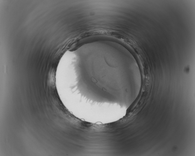 X0000114990143200912071125