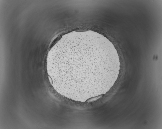 X0000114990144200912071125