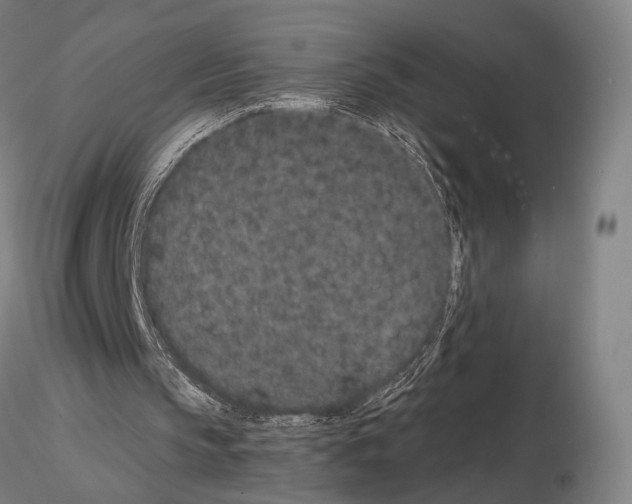 X0000114990145200912071124