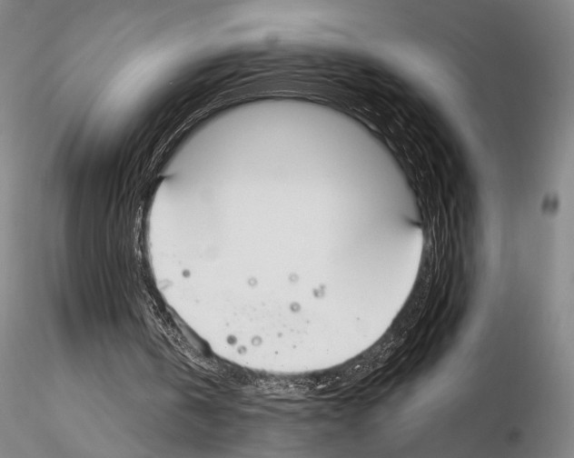 X0000114990146200912071124