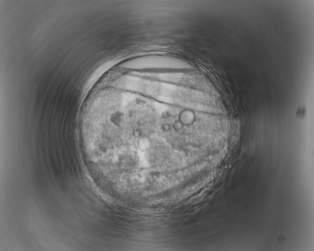 X0000114990147200912071124