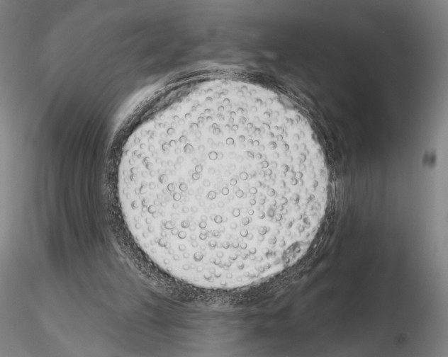 X0000114990149200912071124