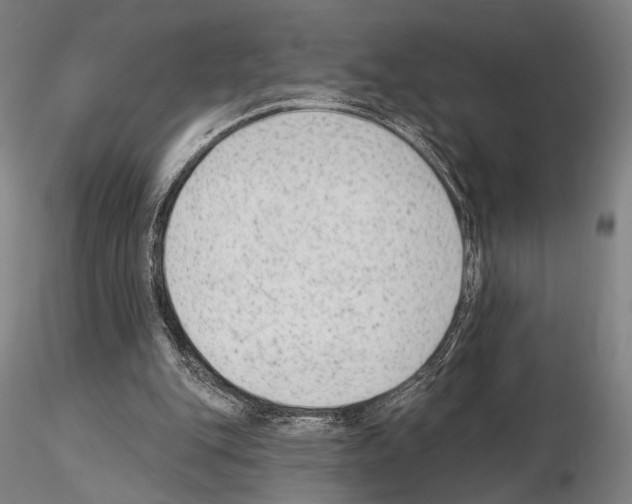 X0000114990151200912071124