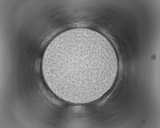 X0000114990153200912071124