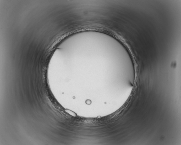 X0000114990154200912071124