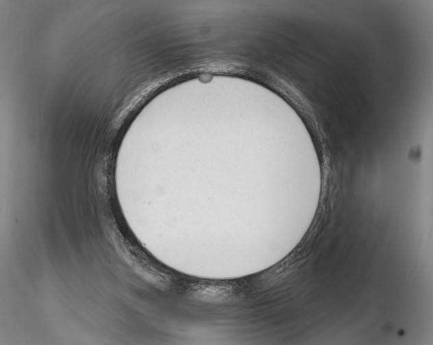 X0000114990155200912071125