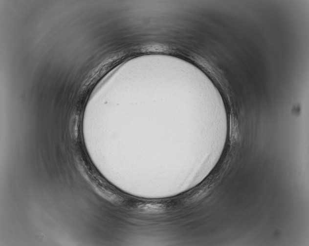 X0000114990157200912071125