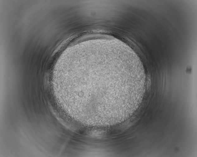 X0000114990158200912071125