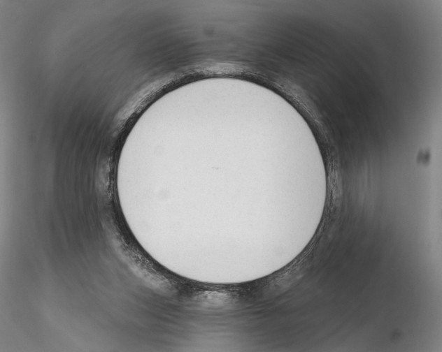 X0000114990159200912071125