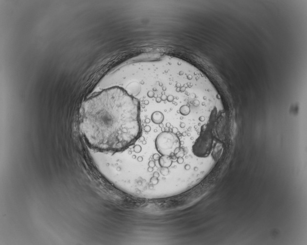 X0000114990161200912071125