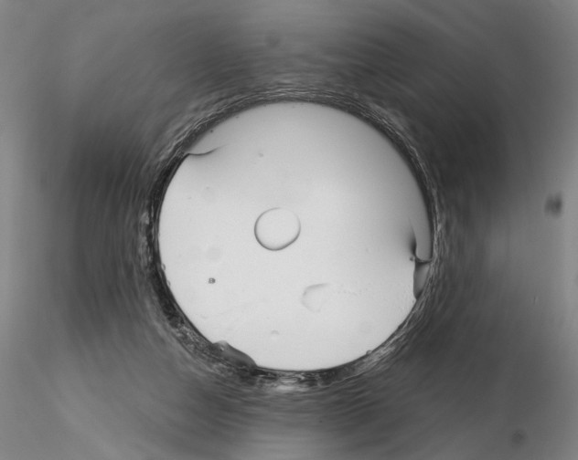 X0000114990162200912071125