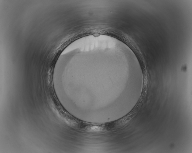 X0000114990163200912071125