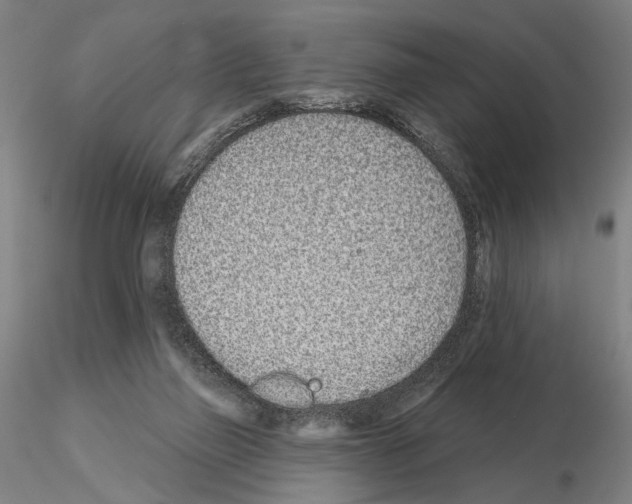 X0000114990165200912071125