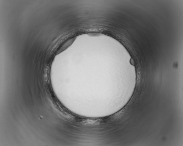 X0000114990166200912071125