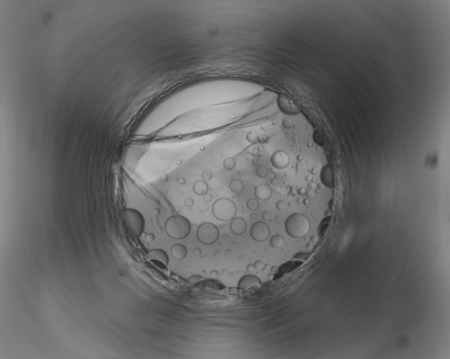 X0000114990167200912071125